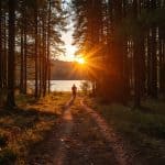 Fit durch das Jahr: Wie du dein Langzeitgedächtnis mit einfachen Fitness- und Gesundheitstricks stärkst